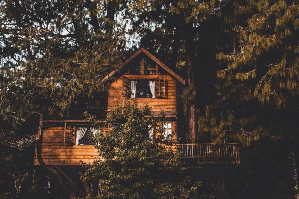 A large two-story home built on the branches of giant trees.