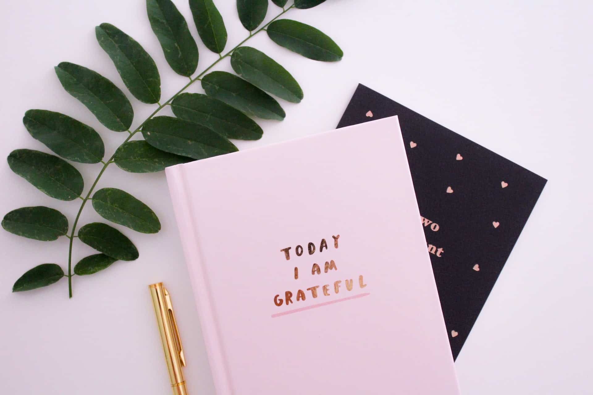 A pink gratitude journal sits on a table next to a green plant and a golden pen.