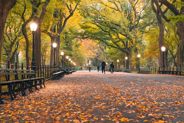 New York City in October the leaves on the pavement in Central Park.