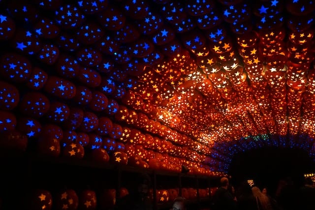 A tunnel of Jack O'Lanterns in New York City in October.