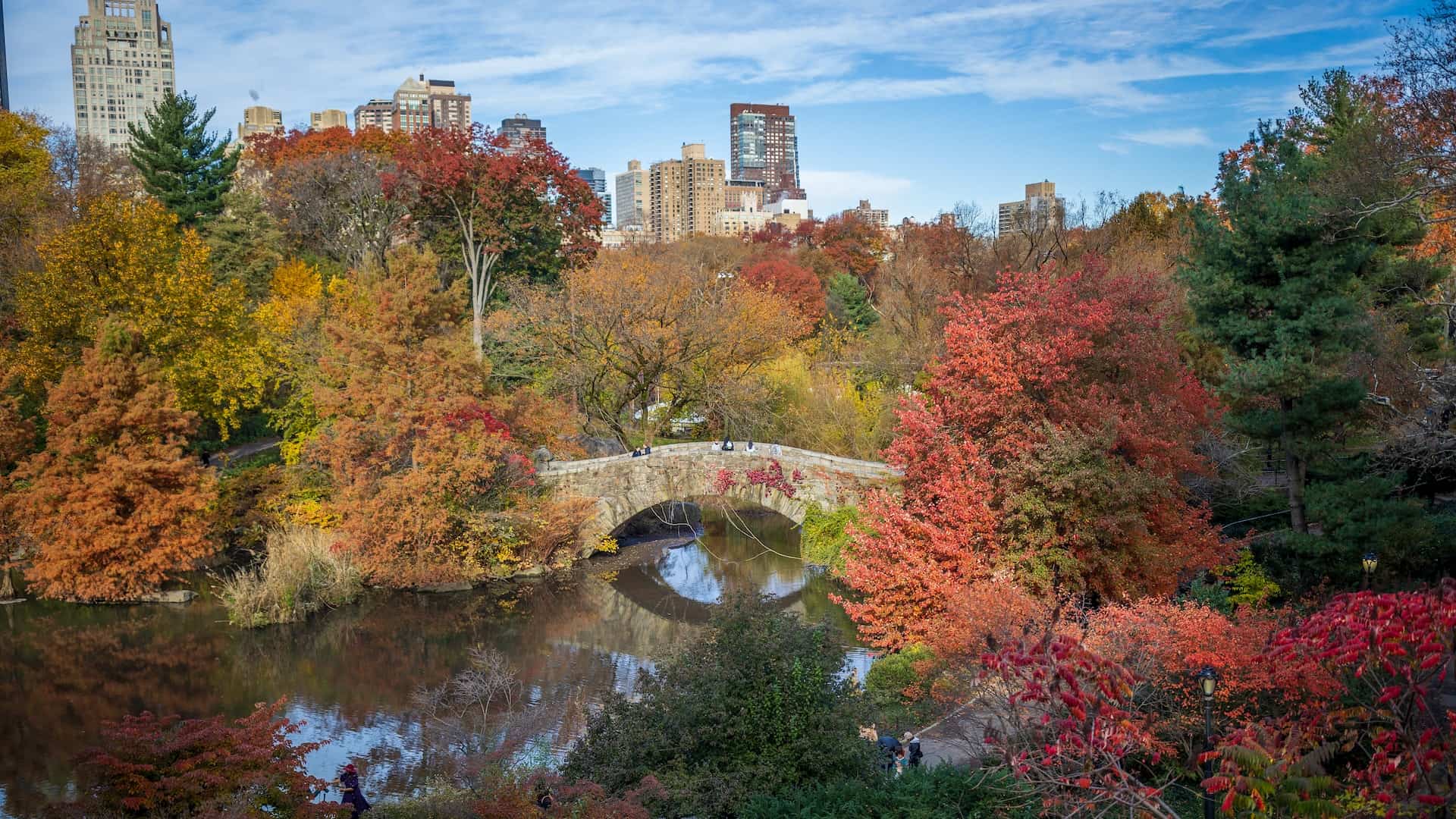 New York City in October Fall leaves in Central Park