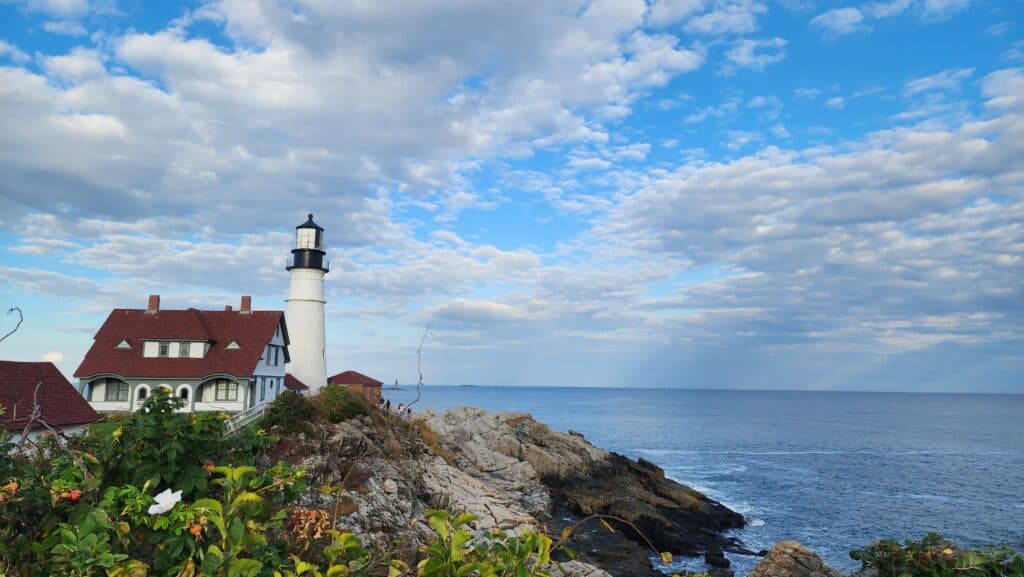 A lighthouse on top of a bed of sharp rocks.