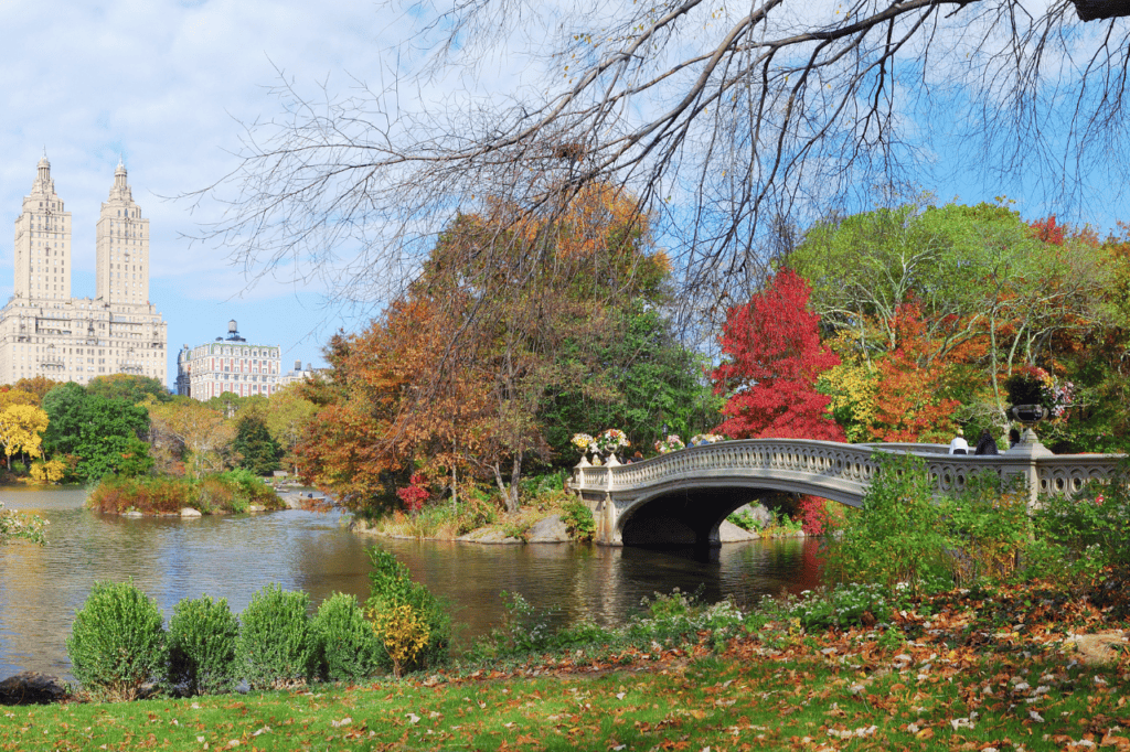 A park with a bridge and a pond.