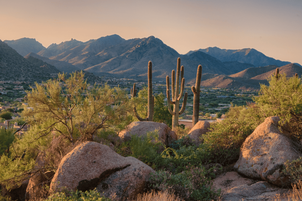 A desert landscape with cactus and mountains in the horizon.