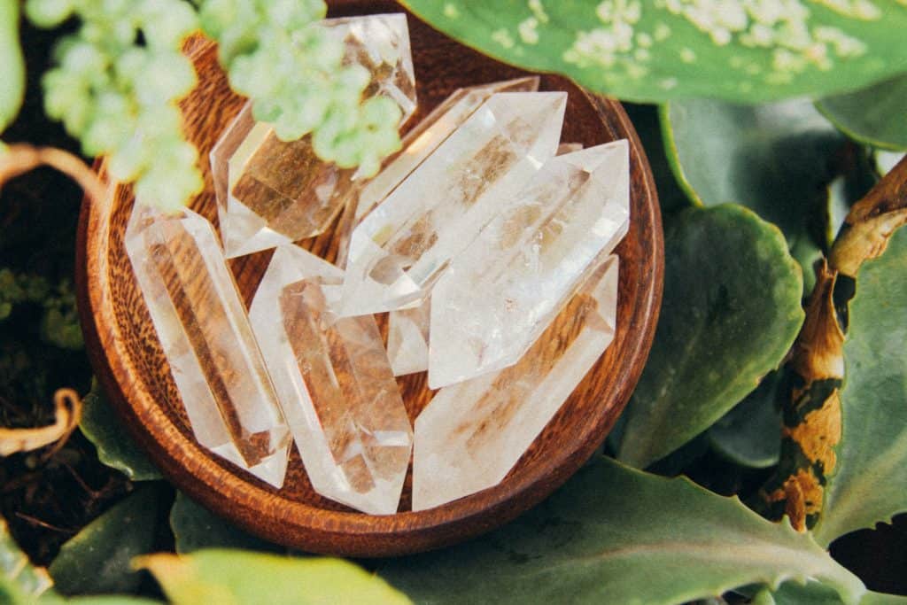 a wooden bowl filled with clear quartz pillars is nestled between the leaves of a green plant