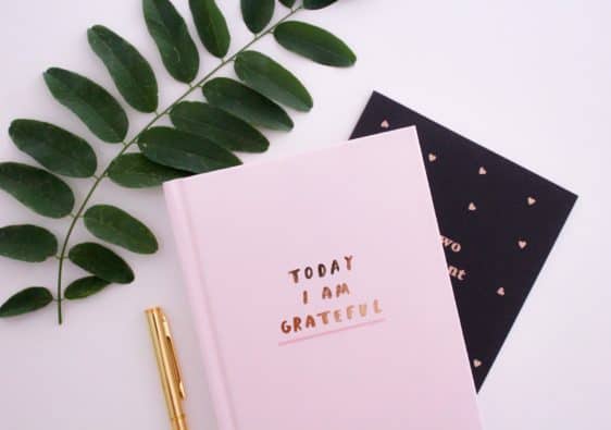 A pink gratitude journal sits on a table next to a green plant and a golden pen.