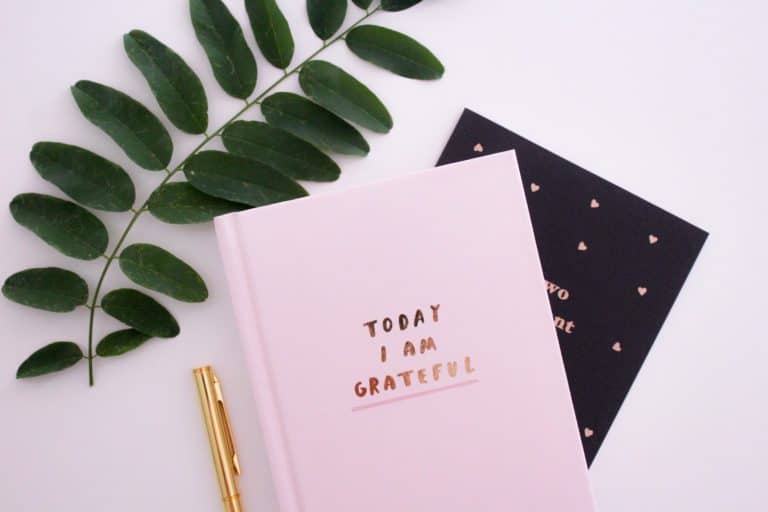 A pink gratitude journal sits on a table next to a green plant and a golden pen.