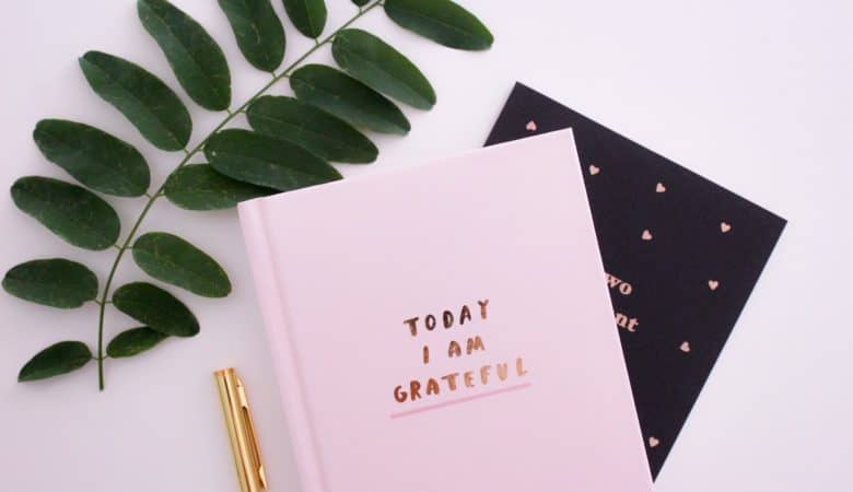 A pink gratitude journal sits on a table next to a green plant and a golden pen.