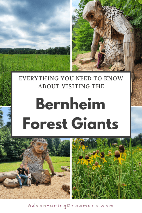 A collage of images, including an open field, black eyed susan flowers, and people posing next to giant troll sculptures. Text reads, "Everything you need to know about visiting the Bernheim Forest Giants. Adventuringdreamers.com"