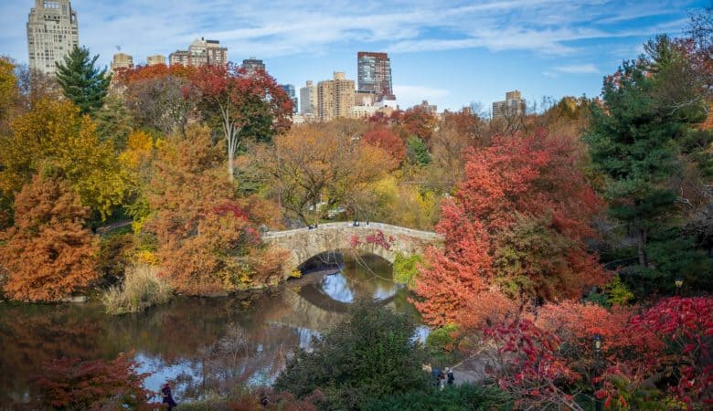 New York City in October Fall leaves in Central Park