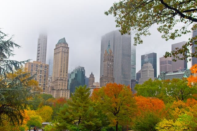 The leaves change in Central Park in New York City in October