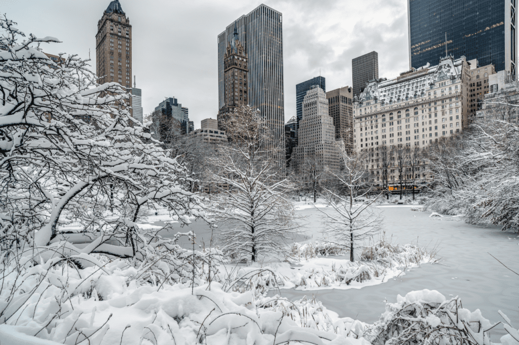 A snowy park in a New York