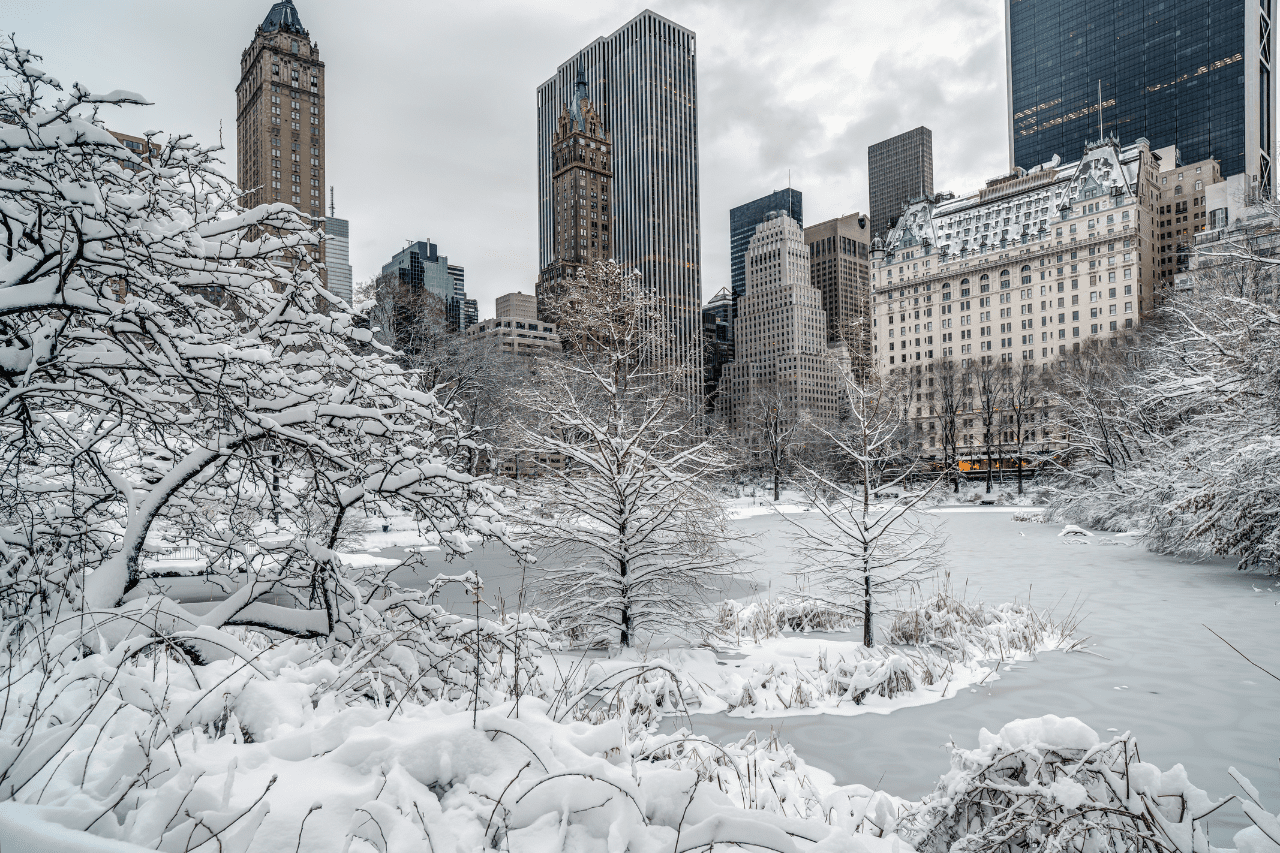 snow totals new york city today