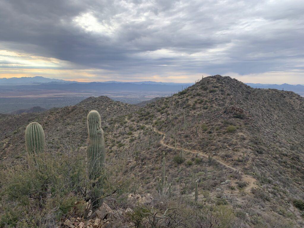 A gray sky over a green desert peak. Wasson Peak, one of the best hikes near Tucson.