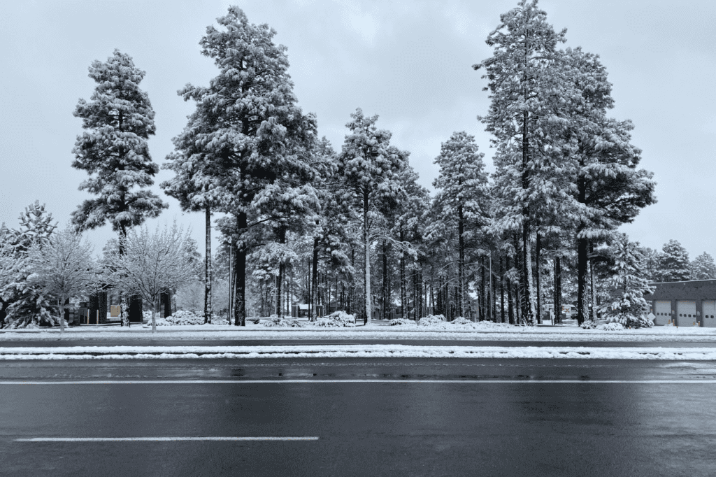 A slick asphalt road glistens after a recent snow storm.