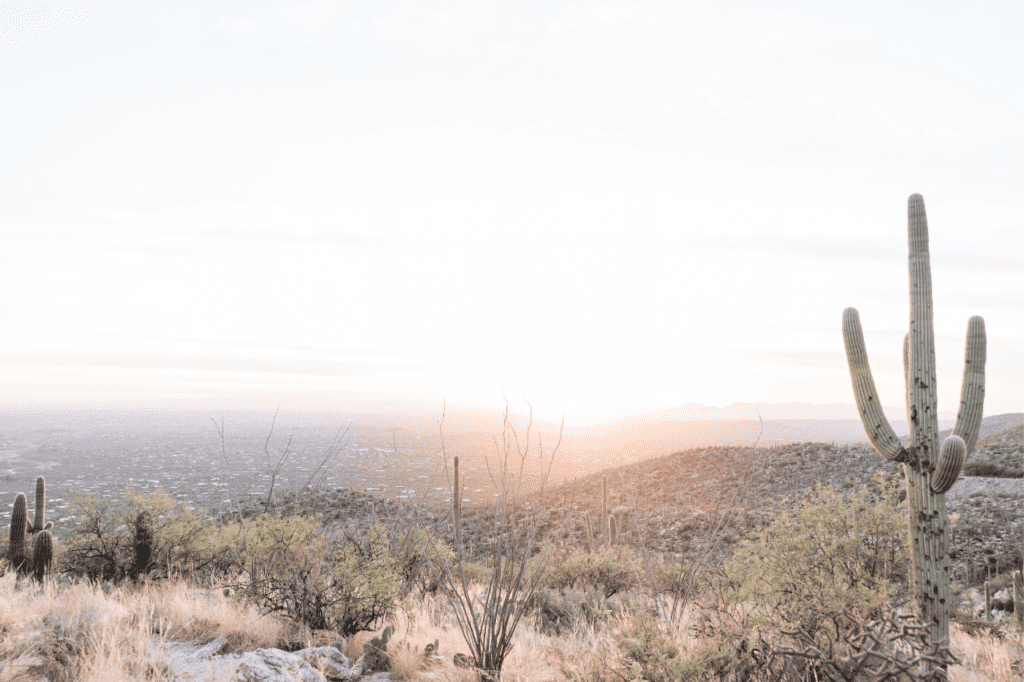 A desert landscape overlooks a city below.