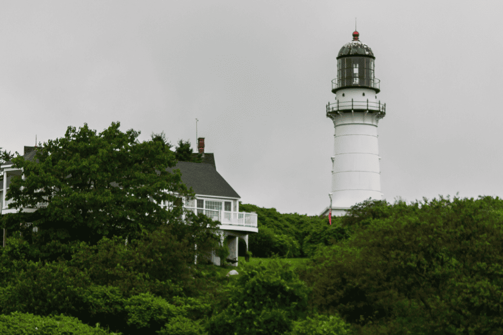 A lighthouse pokes up over the trees.