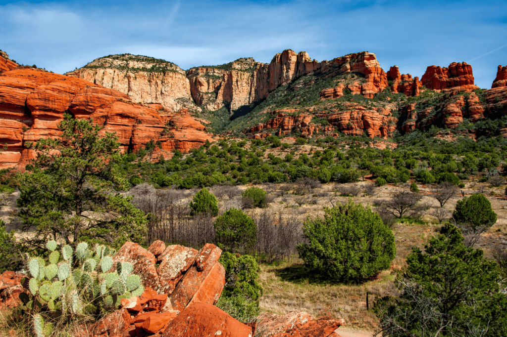 A canyon of red rock filled with green vegetation.