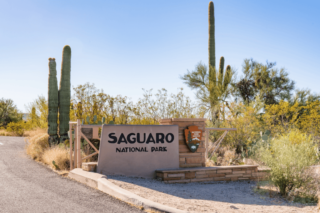 The entrance to a desert park with a sign that says, "Saguaro National Park."