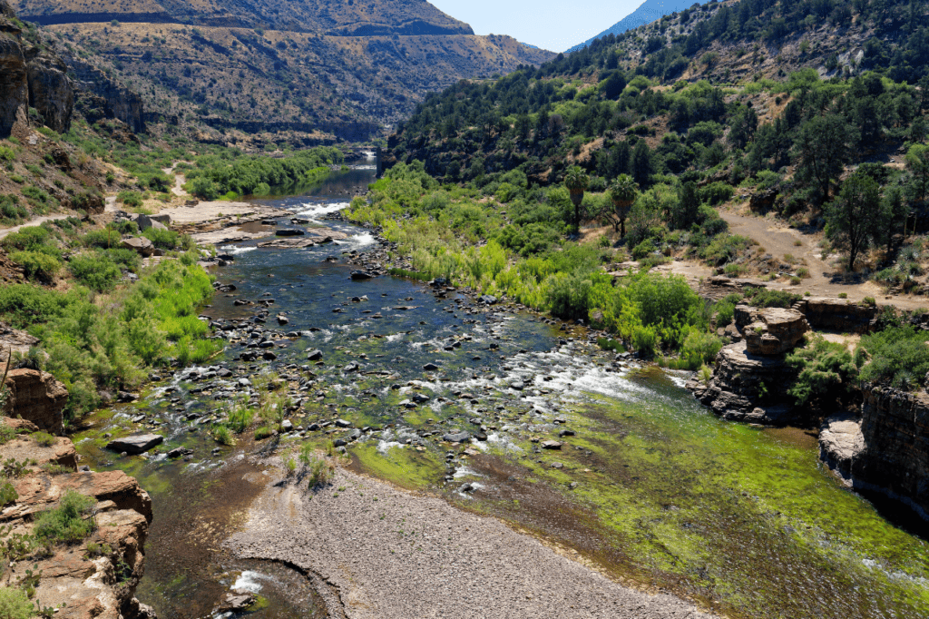 A river cuts through a desert landscape bursting with green foilage.