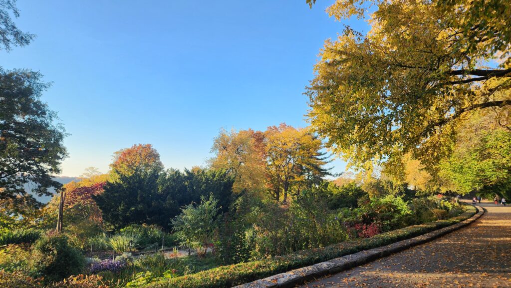 A beautiful park featuring trees with changing leaves.