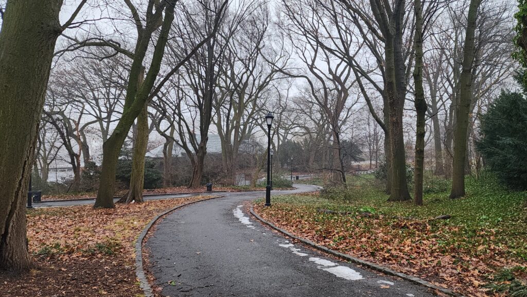 Snow melts on an asphalt walkway in a park of barren trees.